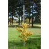 B&M Tree Pole 8ft 1 B&M Tree Pole 8ft -Stanlty Shop 265775 tree pole 240x60mm