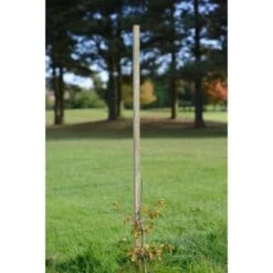 B&M Dahlia Stakes 1.2m X 25mm