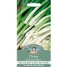 B&M Onion (Spring) Ishikura Seeds