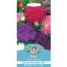 B&M Aster Ostrich Feather Seeds