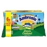Ambrosia Devon Custard 6 X 120g -Stanlty Shop 335685 ambrosia 6x120g custard